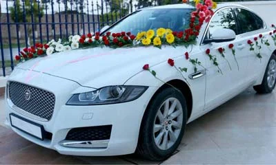 Premium wedding car booking for Ludhiana ceremonies